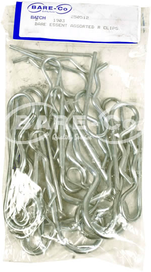B1903 - BARE ESSENT ASSORTED R CLIPS